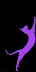 ORIENTAL-Mauve ORIENTAL Violet Chat oriental Showroom - Inkjet sur plexi, éditions limitées, numérotées et signées .Peinture animalière Art et décoration.Images multiples, commandez au peintre Thierry Bisch online